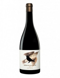 VIÑA ZORZAL SEÑORA DE LAS...