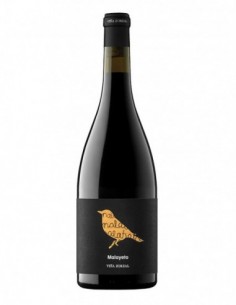 VIÑA ZORZAL MALAYETO 2