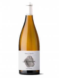 PAGO DE VALDONEJE GODELLO