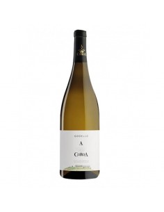 A COROA GODELLO 2