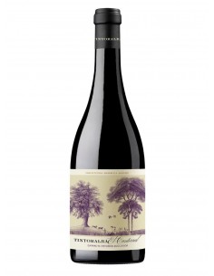 TINTORALBA CANTORRAL TINTO