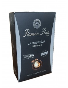 R.P. ZAMBURIÑA L. PLATA