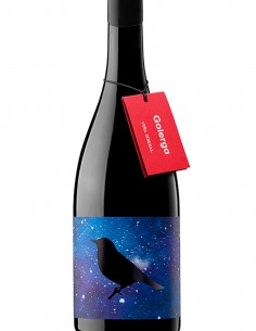 VIÑA ZORZAL GOLERGA