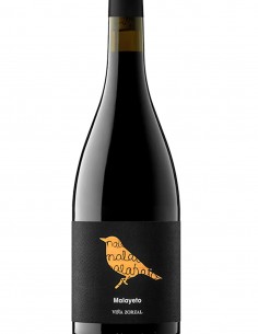 VIÑA ZORZAL MALAYETO