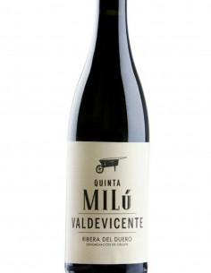 QUINTA MILÚ VALDEVICENTE
